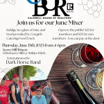Monthly Meeting - June Mixer
